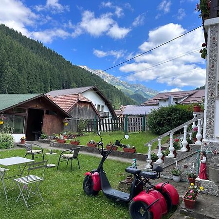 Pensiunea Rodica Moeciu De Sus Bagian luar foto
