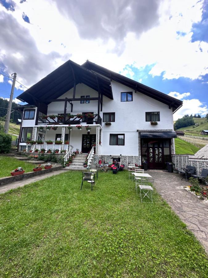Pensiunea Rodica Moeciu De Sus Bagian luar foto