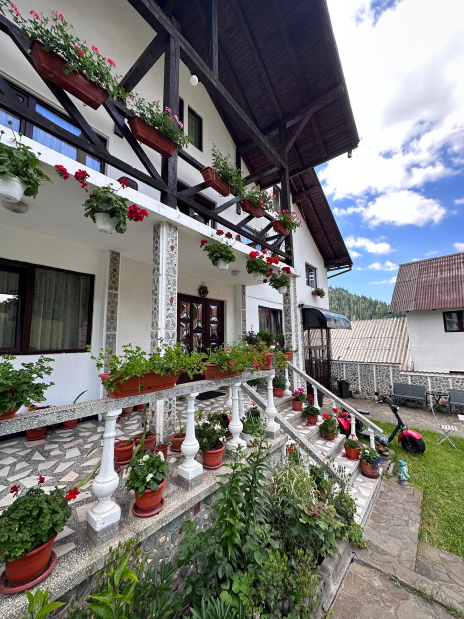 Pensiunea Rodica Moeciu De Sus Bagian luar foto