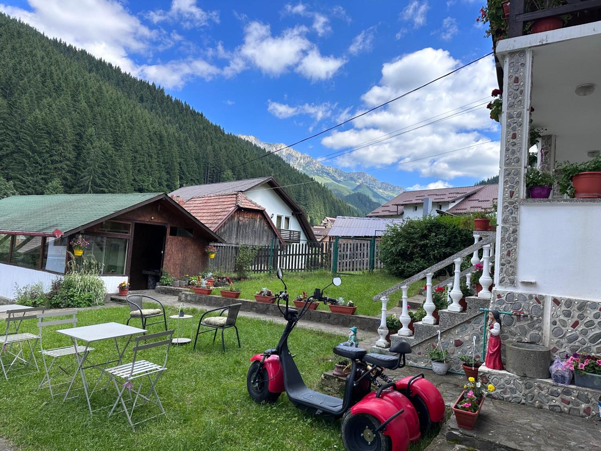 Pensiunea Rodica Moeciu De Sus Bagian luar foto