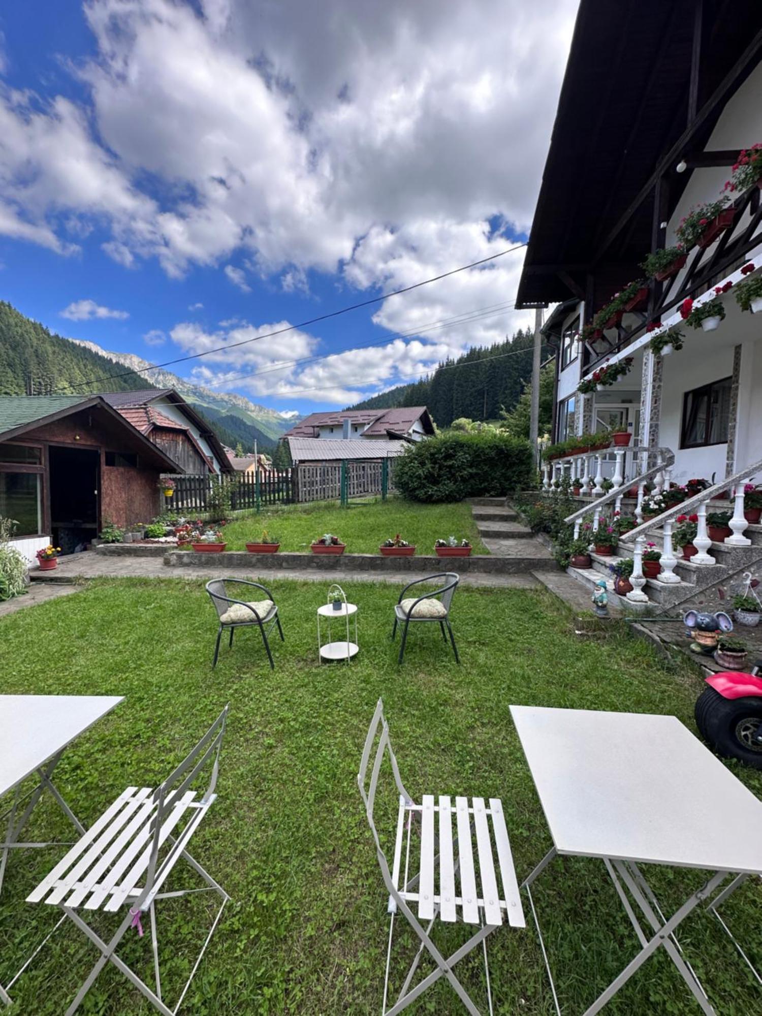 Pensiunea Rodica Moeciu De Sus Bagian luar foto